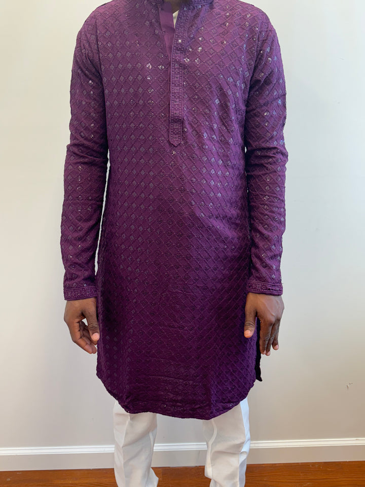 Dark Purple Chikan Kurta