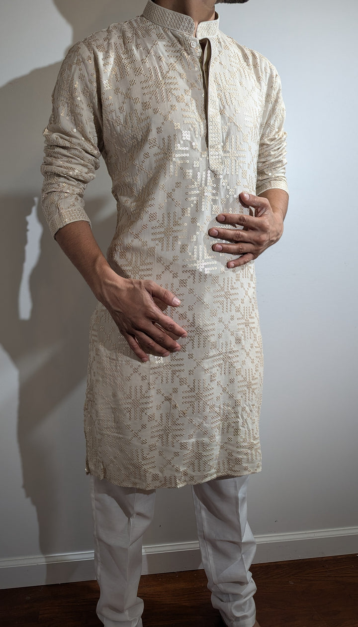 Pale Brown Fancy Kurta