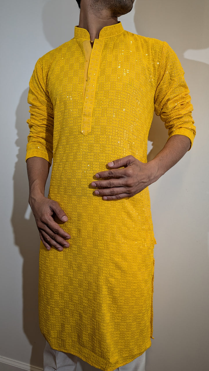 Light Yellow Chikan Kurta