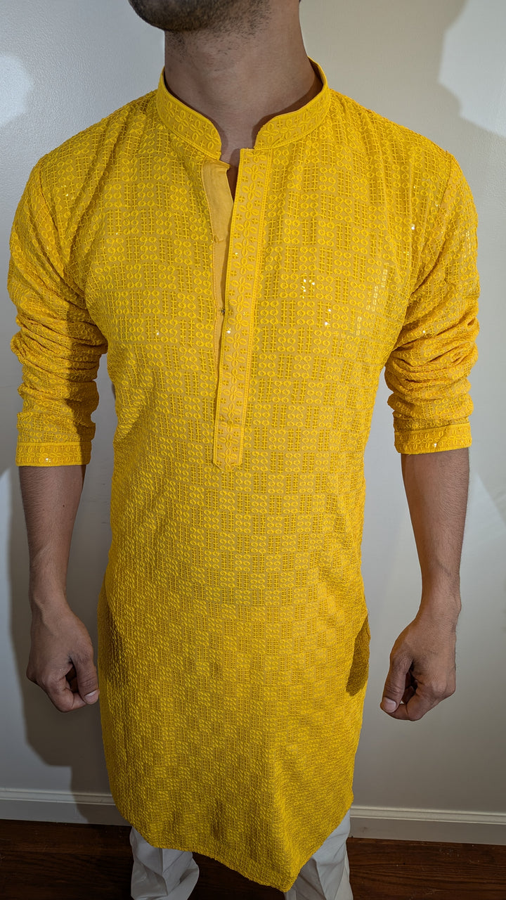 Light Yellow Chikan Kurta