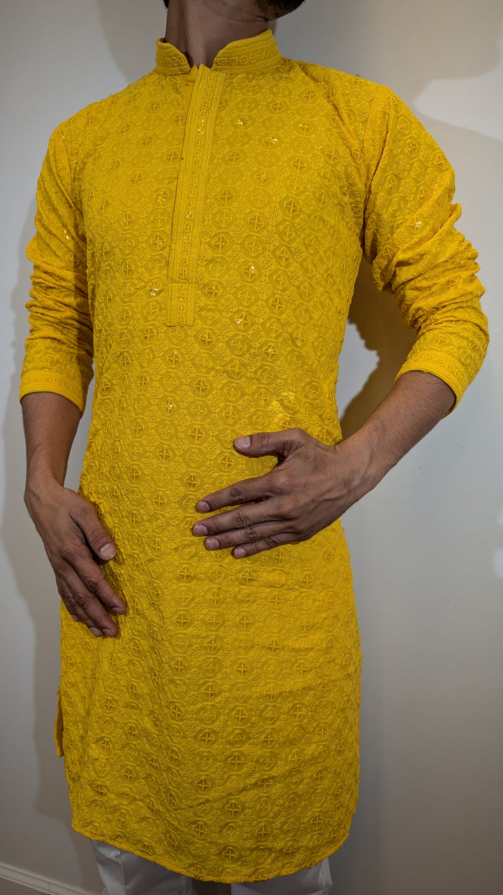 Light Yellow Chikan Kurta