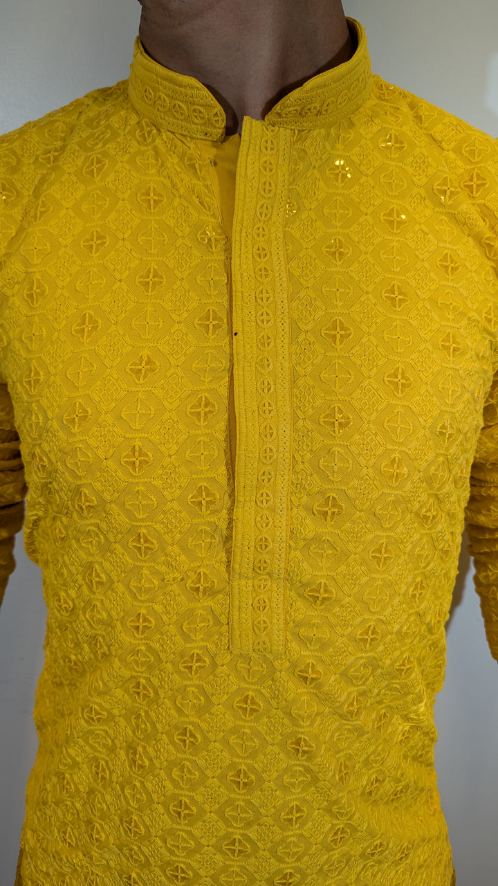 Light Yellow Chikan Kurta