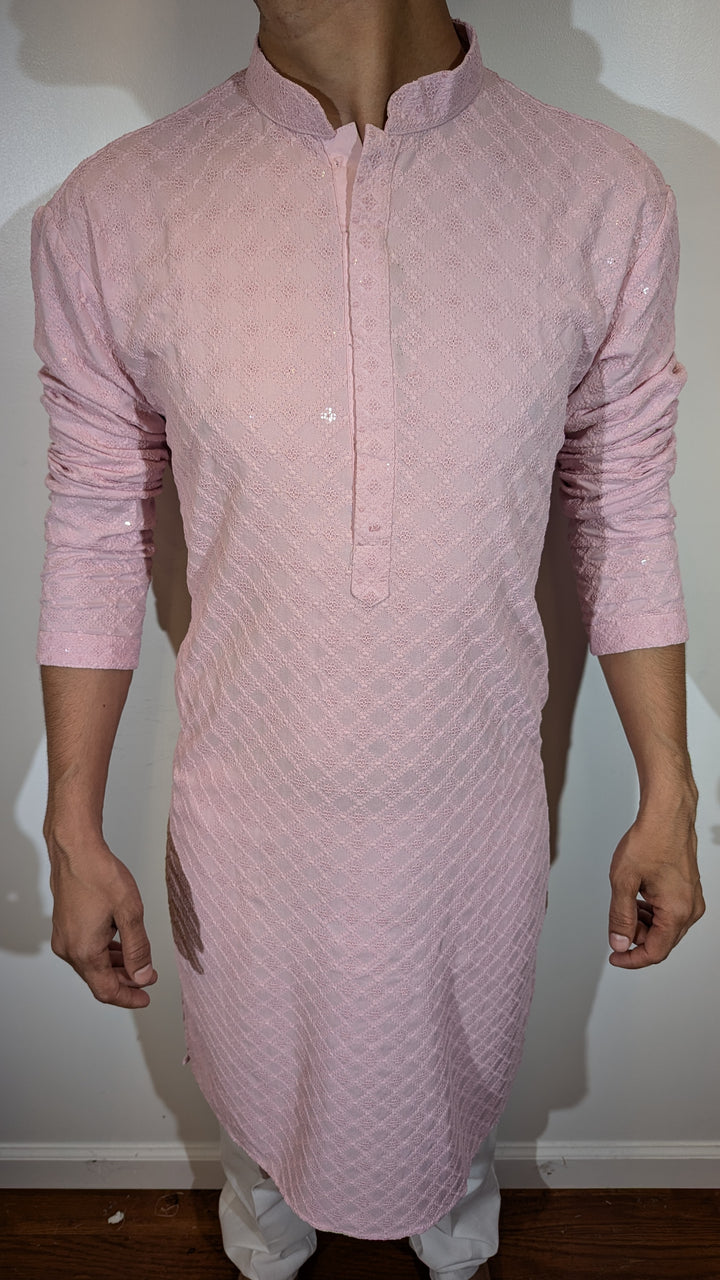 Light Pink Chikan Kurta