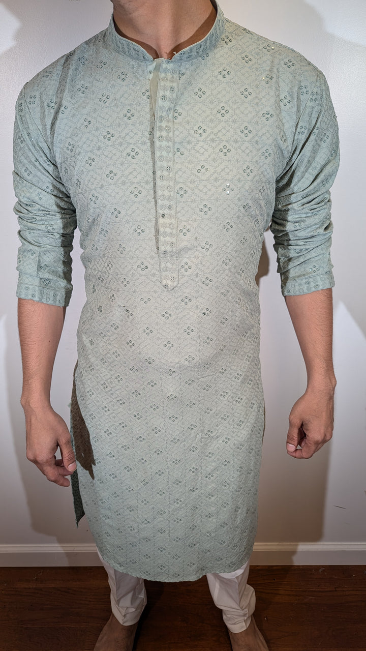 Mint Green Chikan Kurta