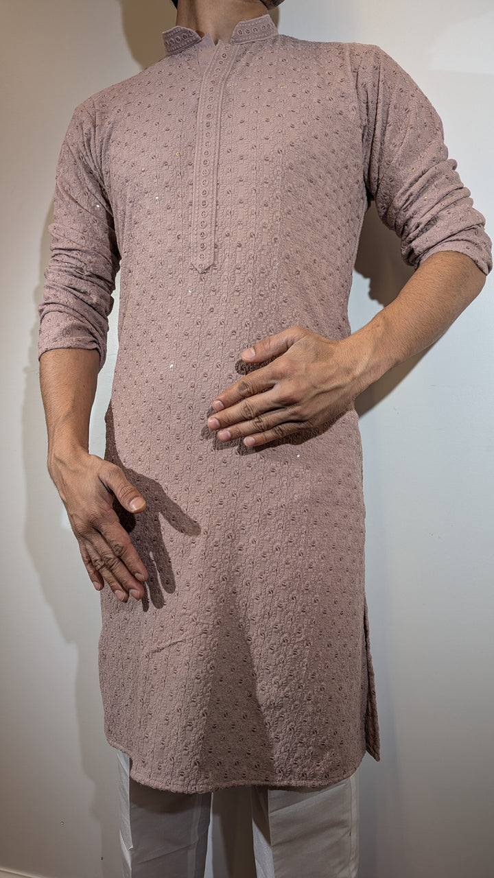 Light Brown Chikan Kurta