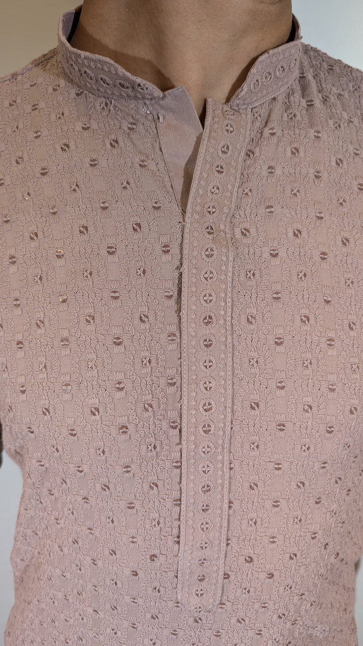 Light Brown Chikan Kurta