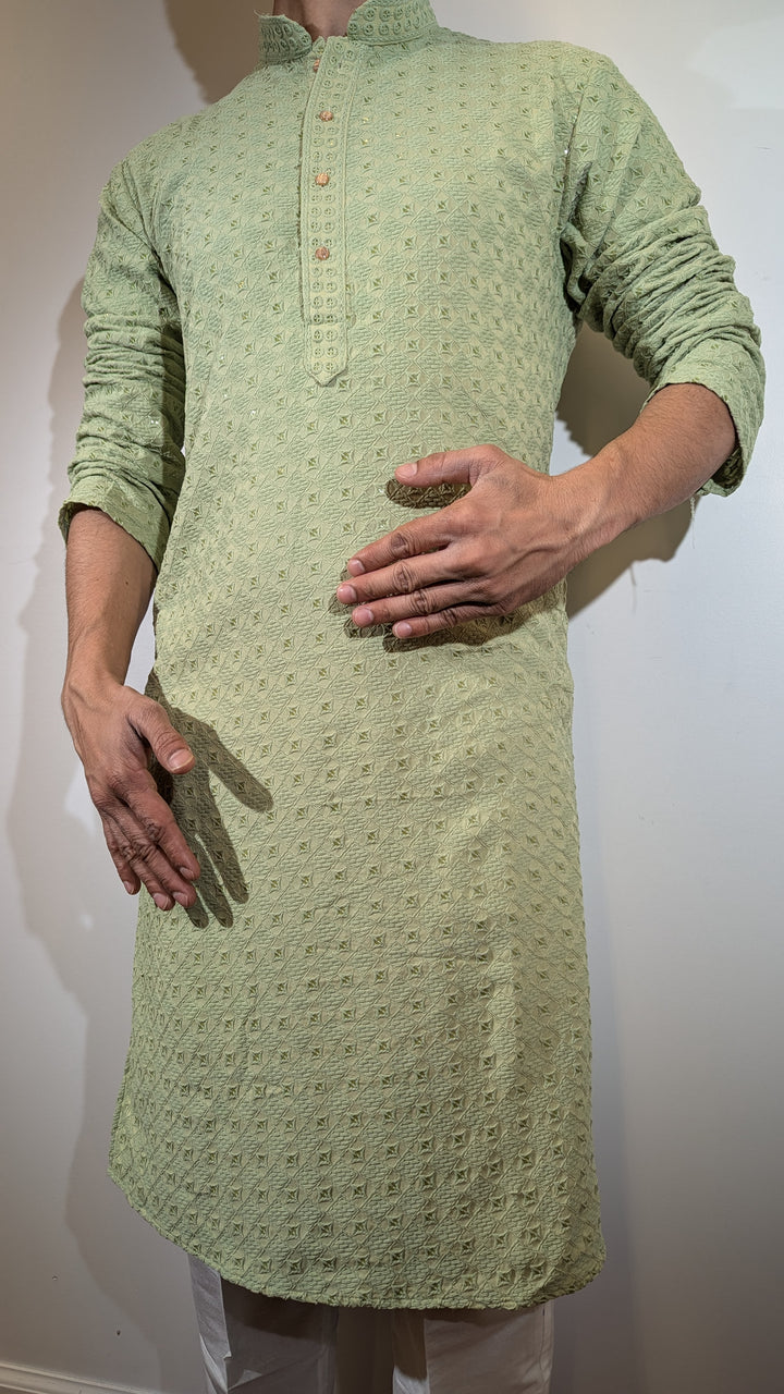 Light Green Chikan Kurta