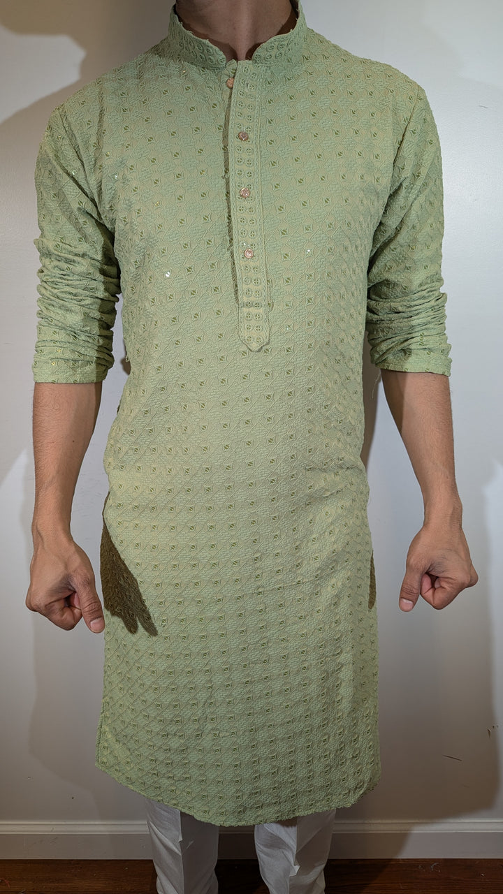 Light Green Chikan Kurta