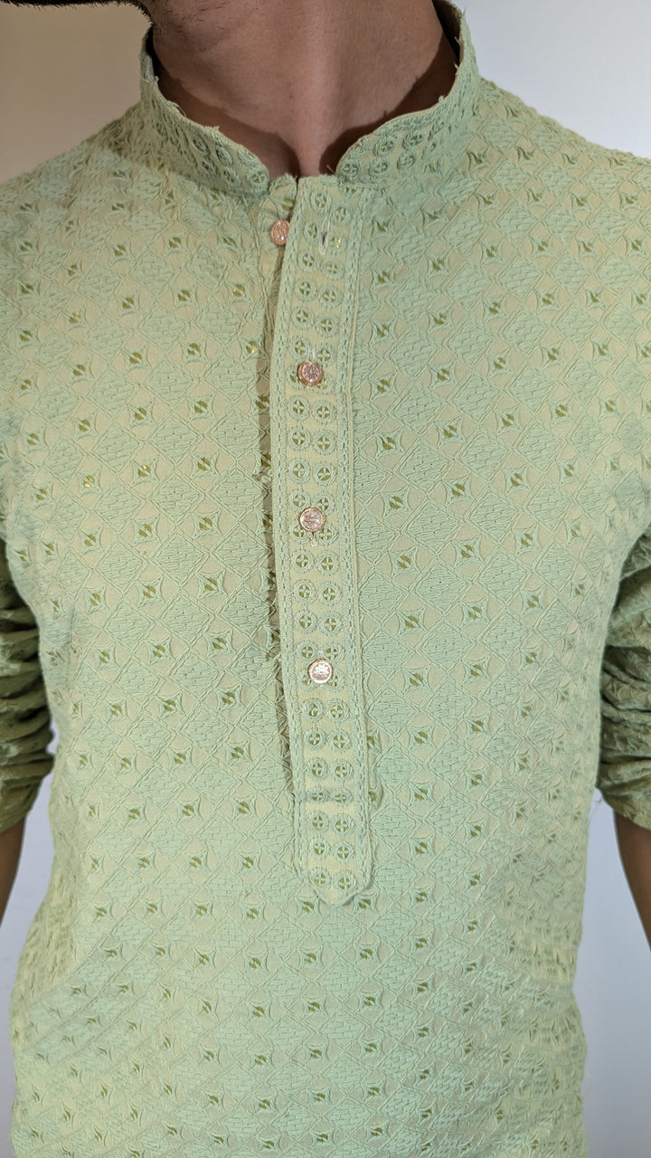 Light Green Chikan Kurta