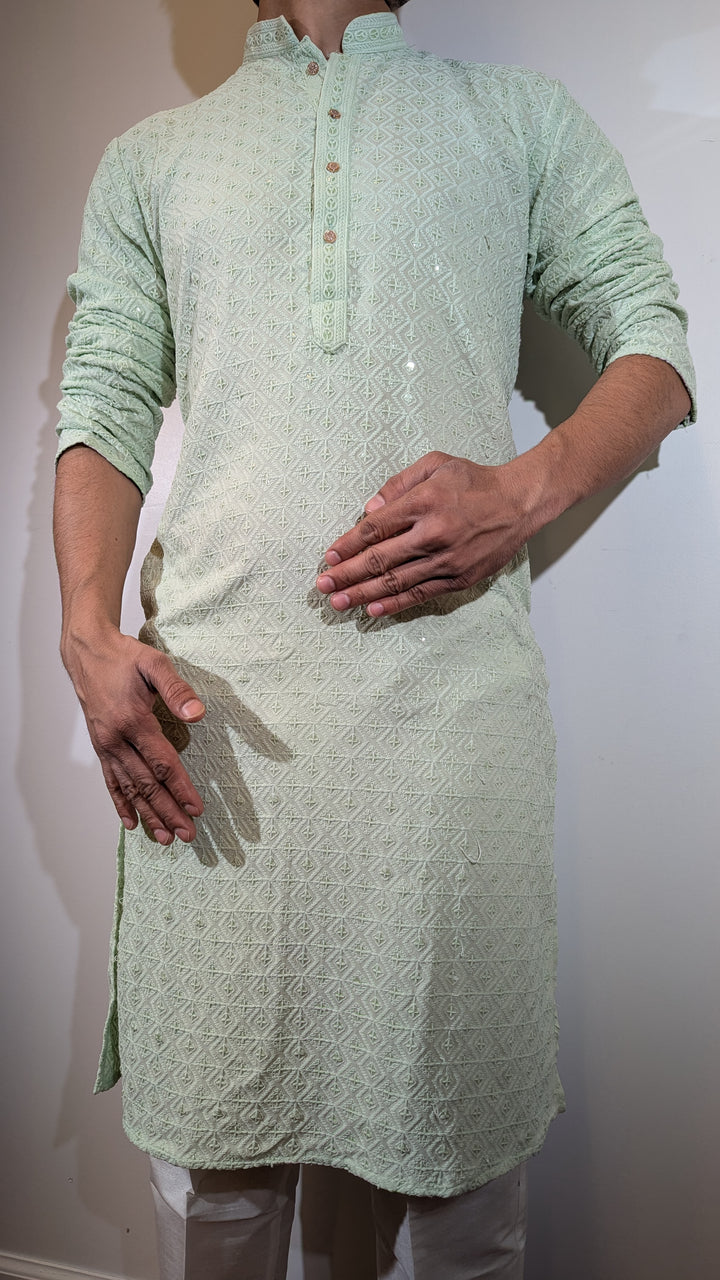 Light Pista Chikan Kurta