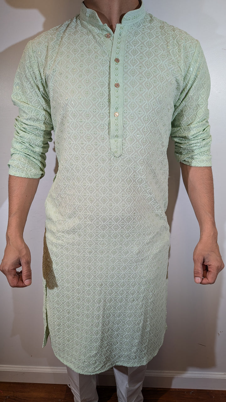 Light Pista Chikan Kurta