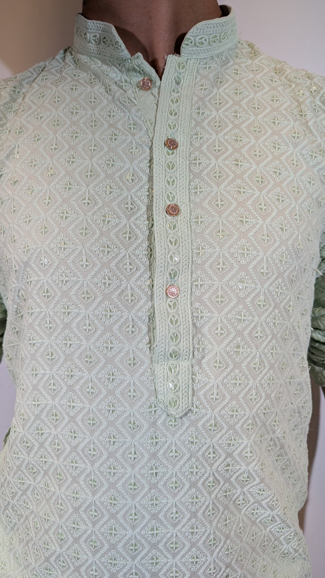 Light Pista Chikan Kurta