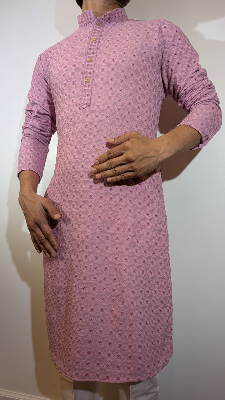 Light Pink Chikan Kurta