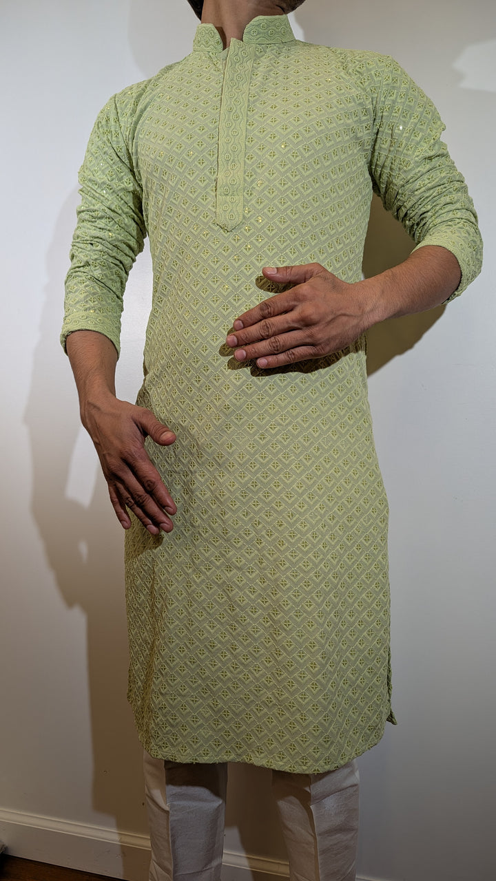 Light Green Chikan Kurta