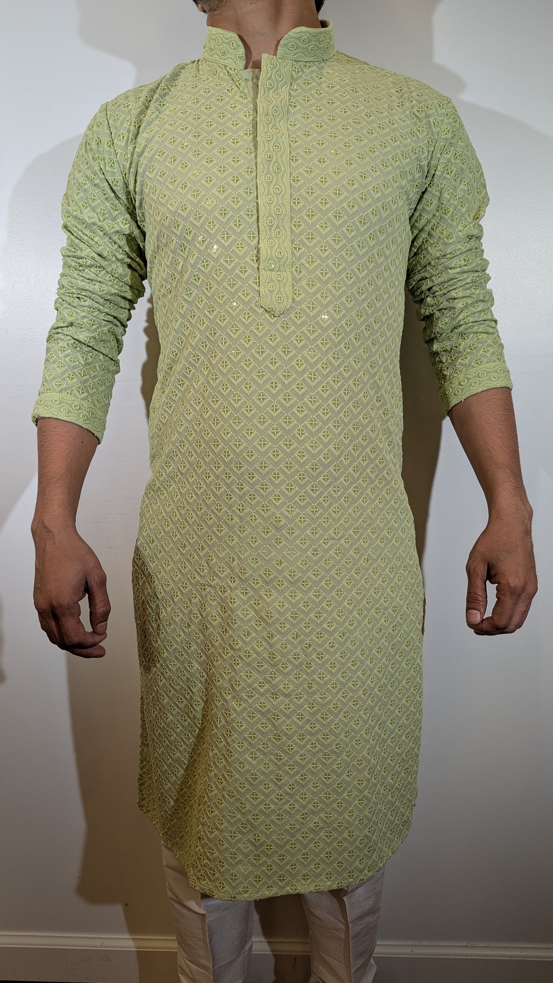 Light Green Chikan Kurta