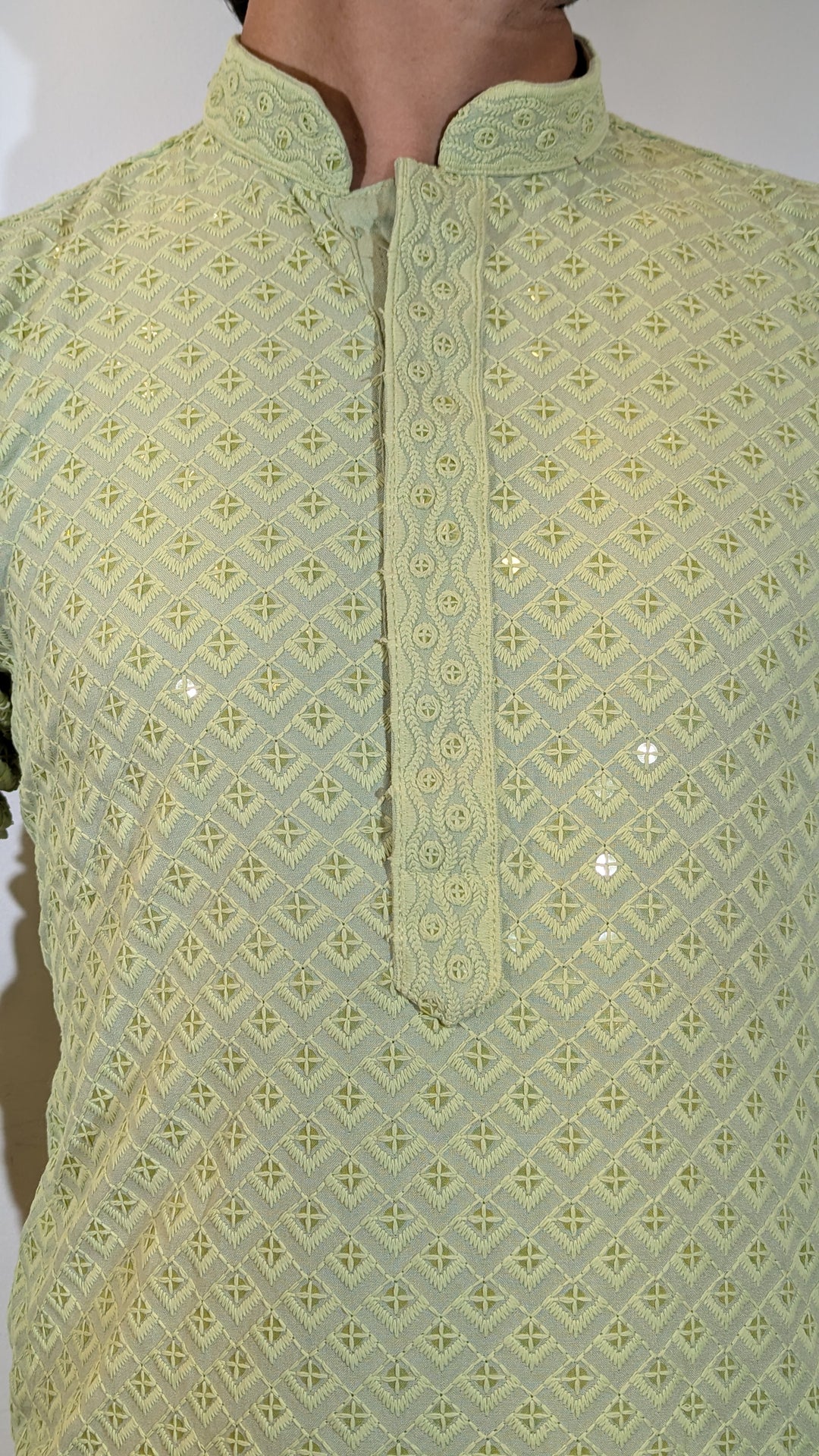 Light Green Chikan Kurta