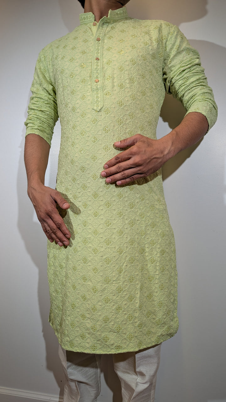 Light Green Chikan Kurta