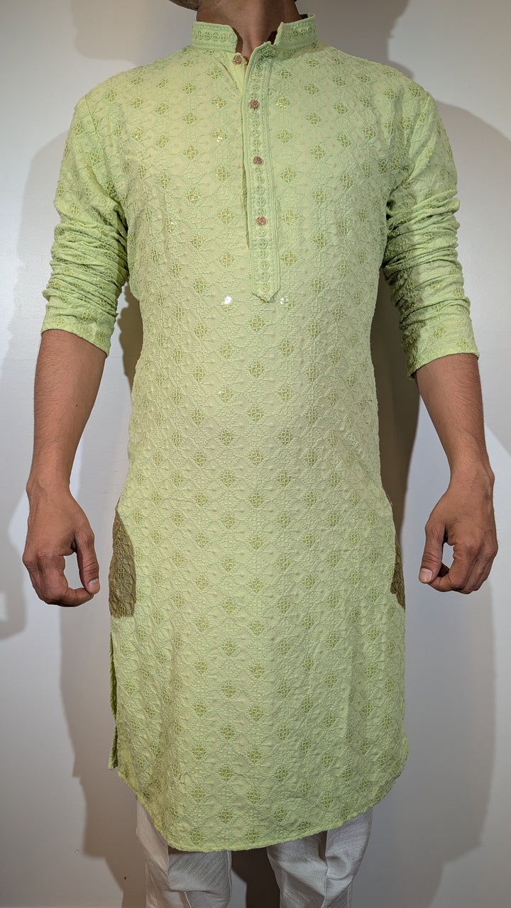 Light Green Chikan Kurta