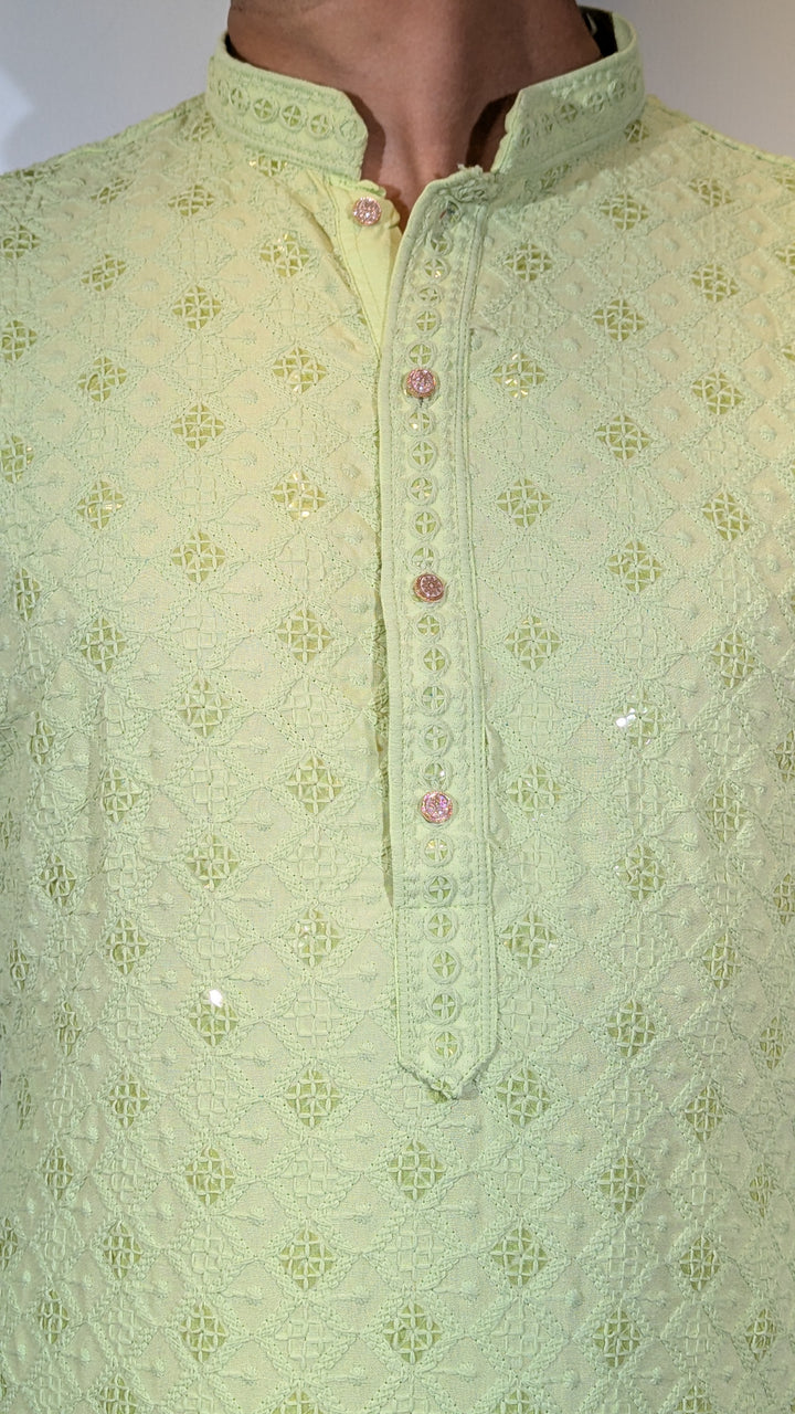 Light Green Chikan Kurta