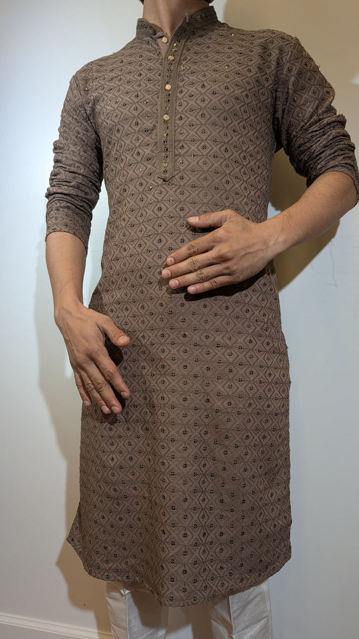 Brown Chikan Kurta