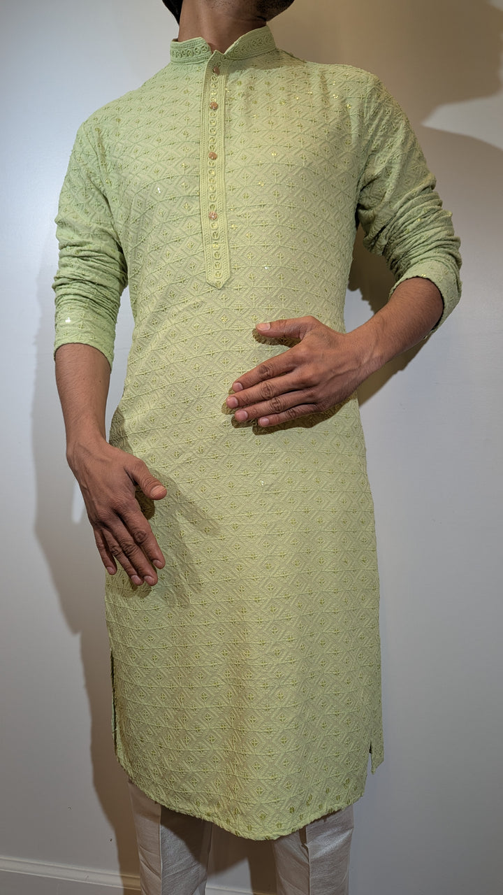 Light Green Chikan Kurta