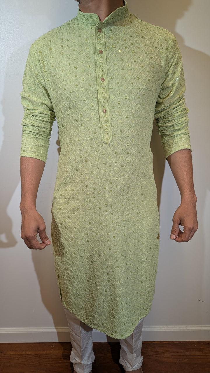 Light Green Chikan Kurta