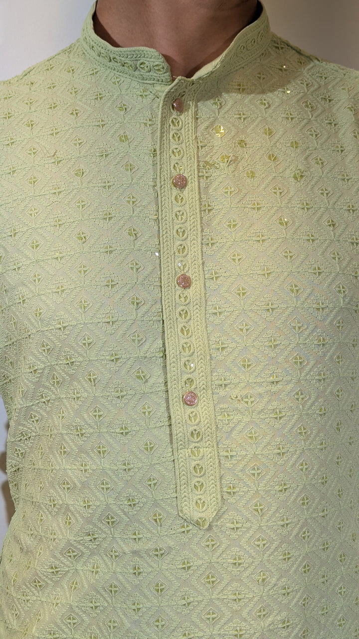 Light Green Chikan Kurta