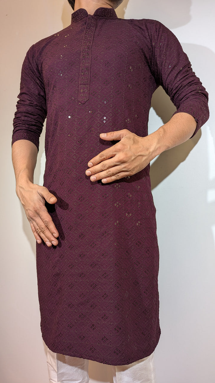 Dark Purple Chikan Kurta