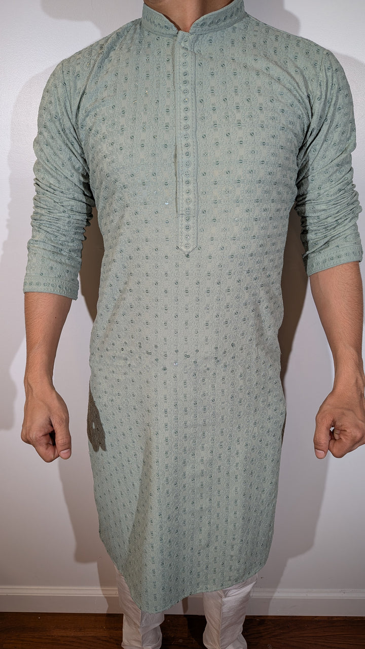 Mint Green Chikan Kurta