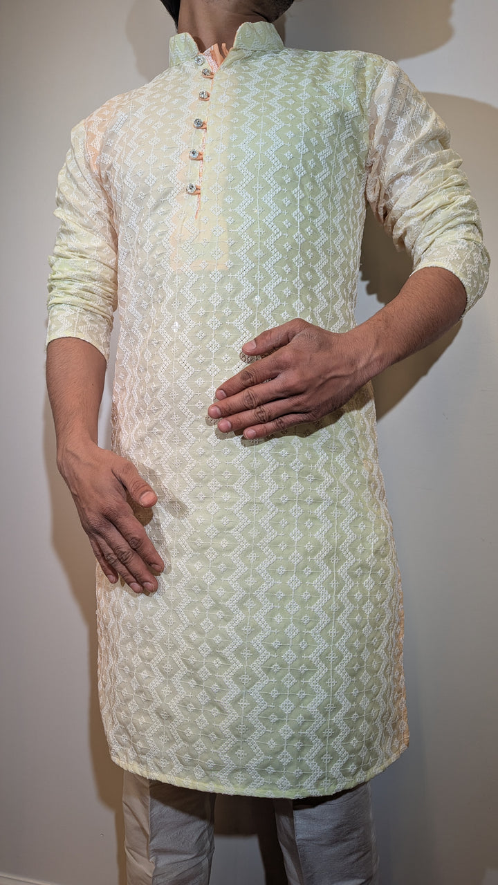 Mint Multi Chikan Kurta