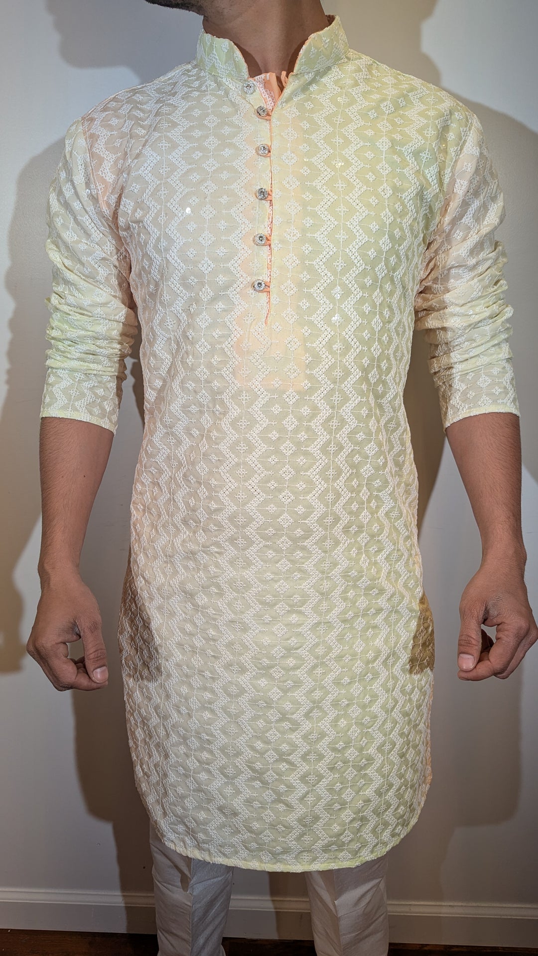 Mint Multi Chikan Kurta