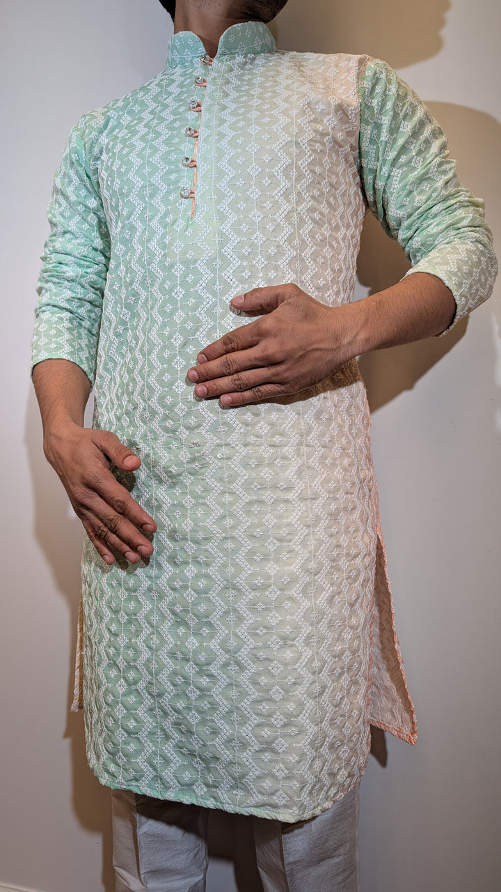 Mint Multi Chikan Kurta