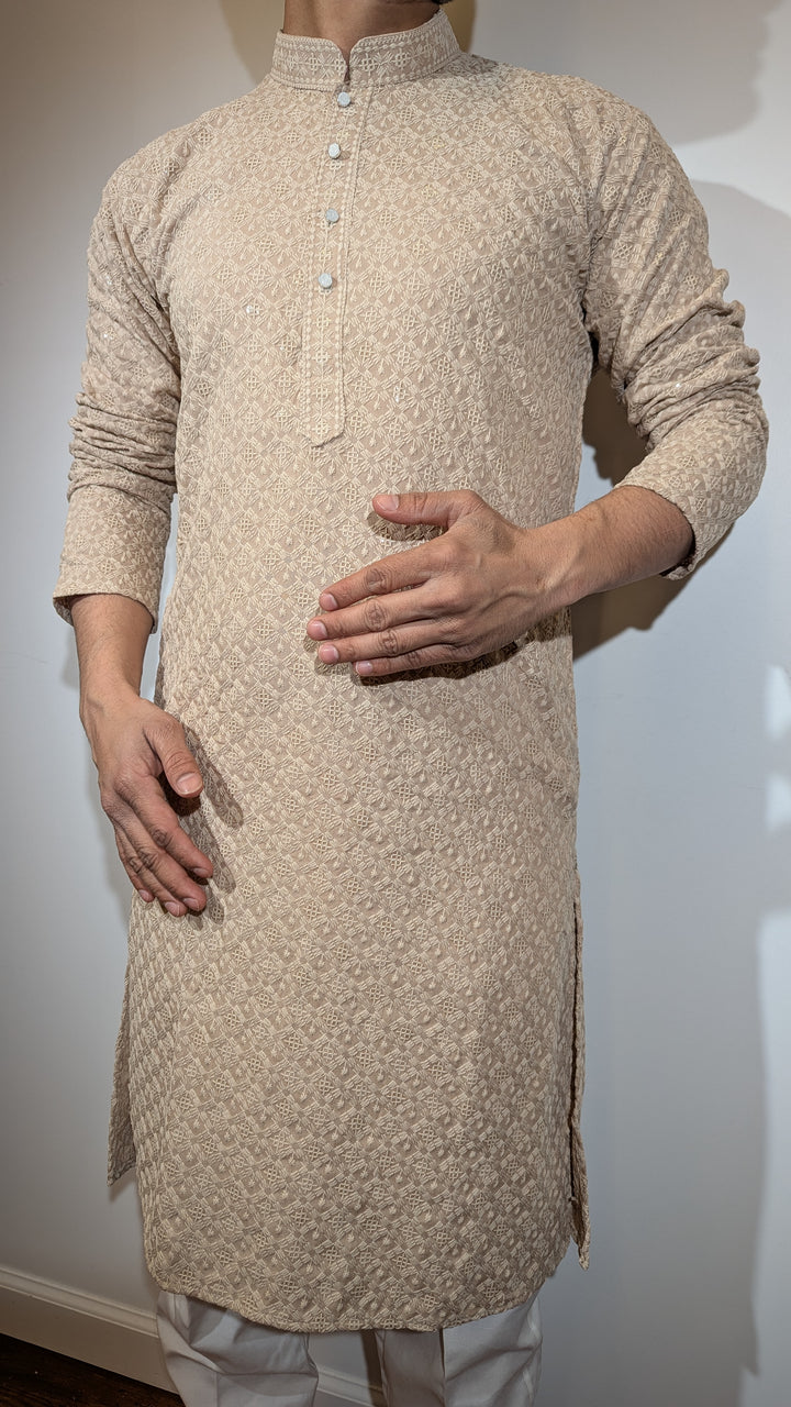 Light Brown Chikan Kurta