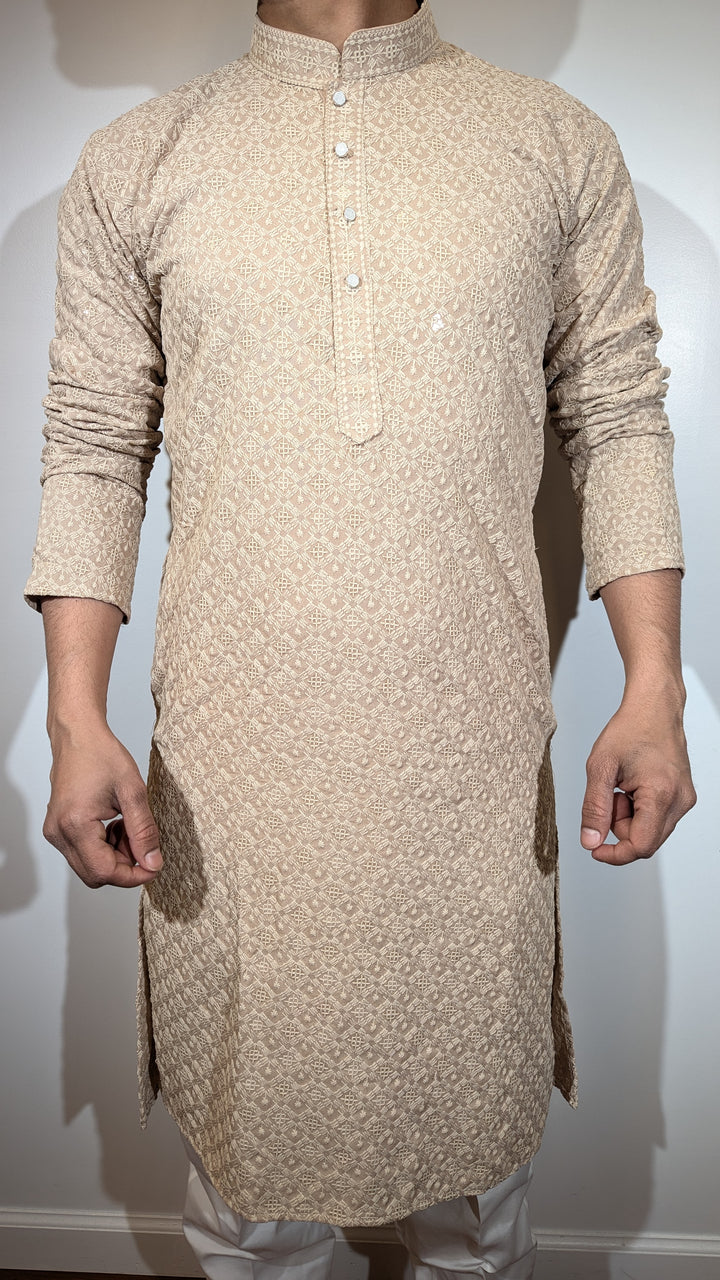 Light Brown Chikan Kurta