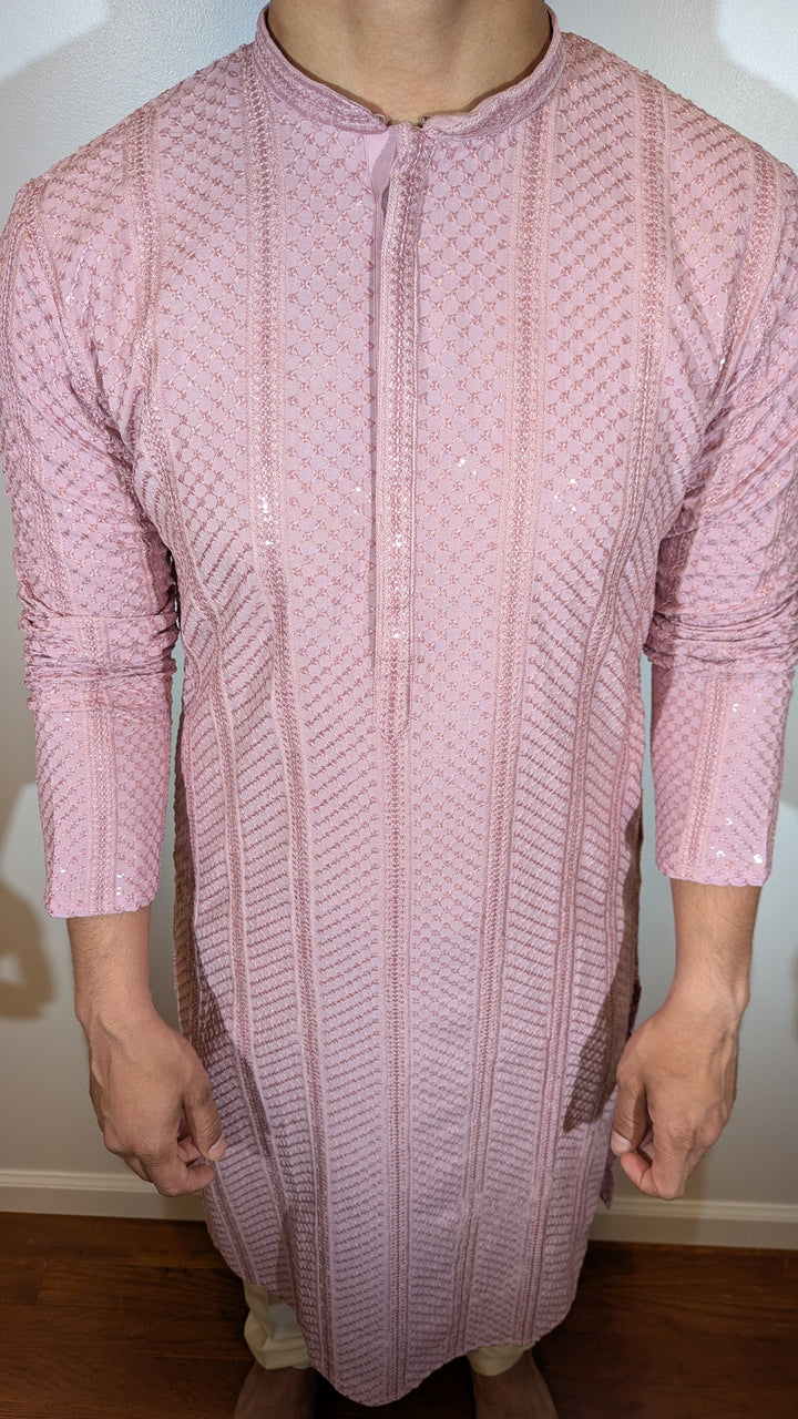 Light Pink Chikan Kurta