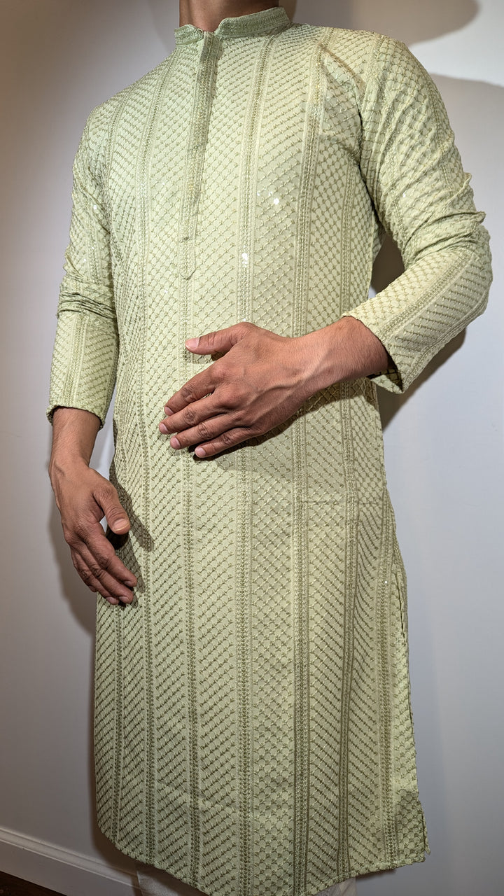 Light Green Chikan Kurta