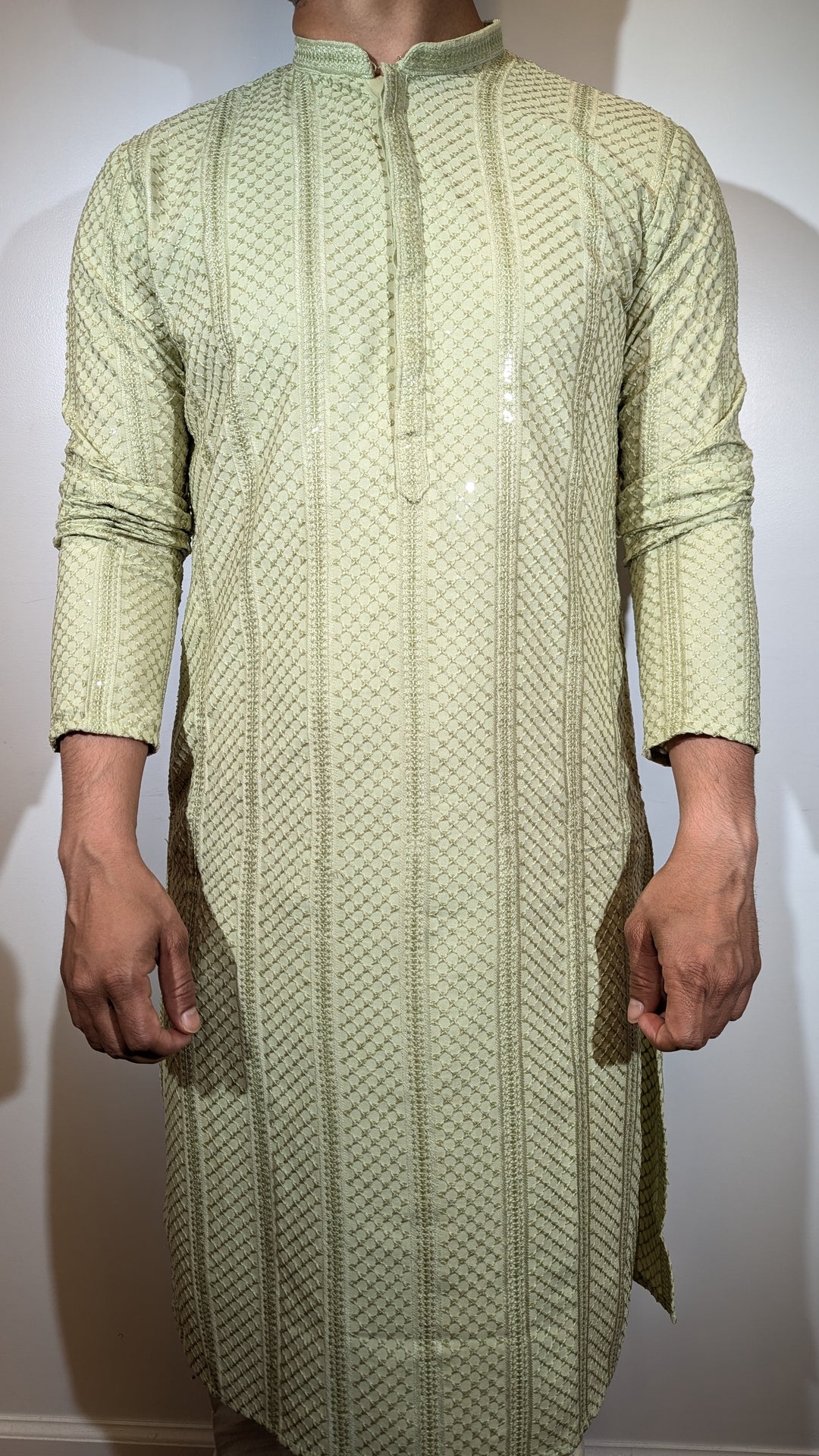Light Green Chikan Kurta