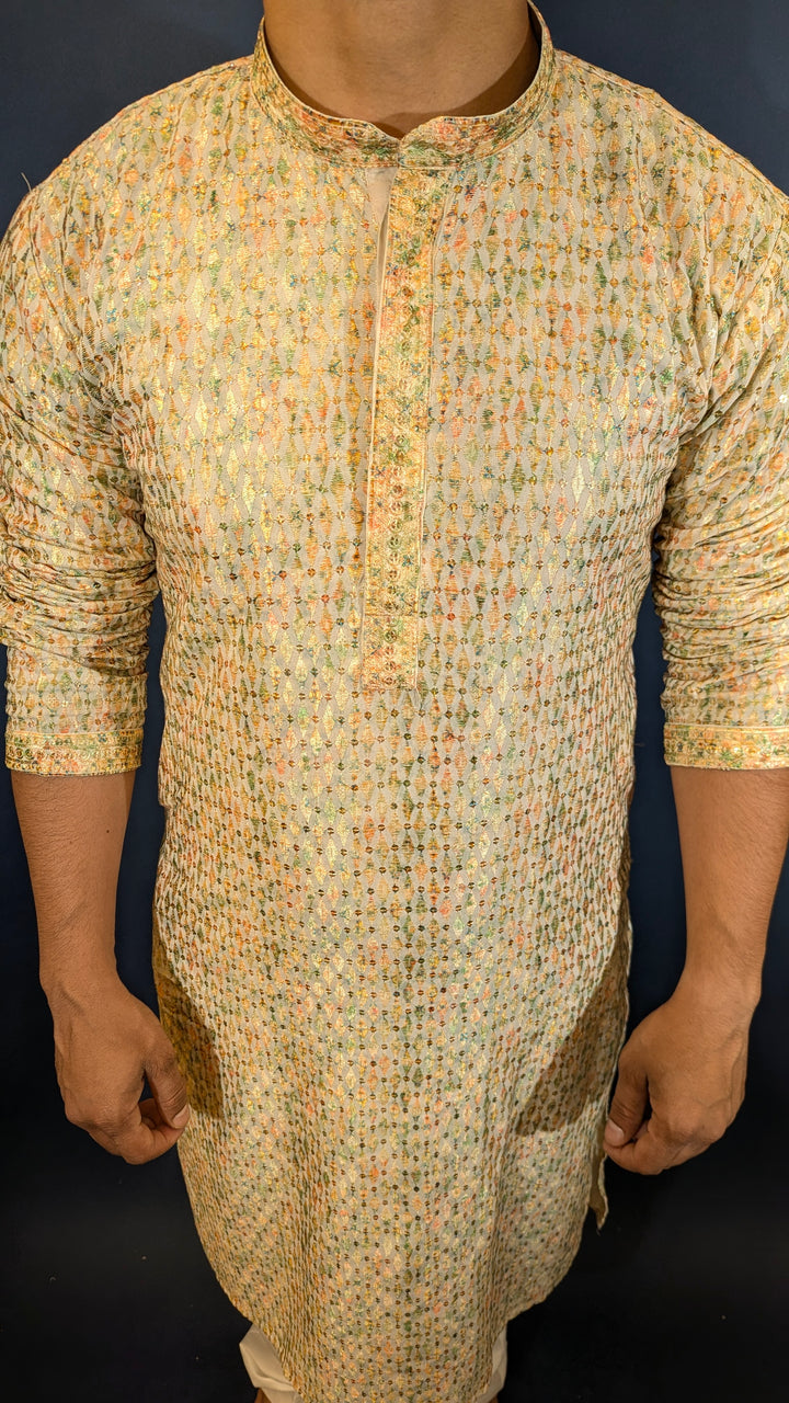 Light Green Chikan Kurta