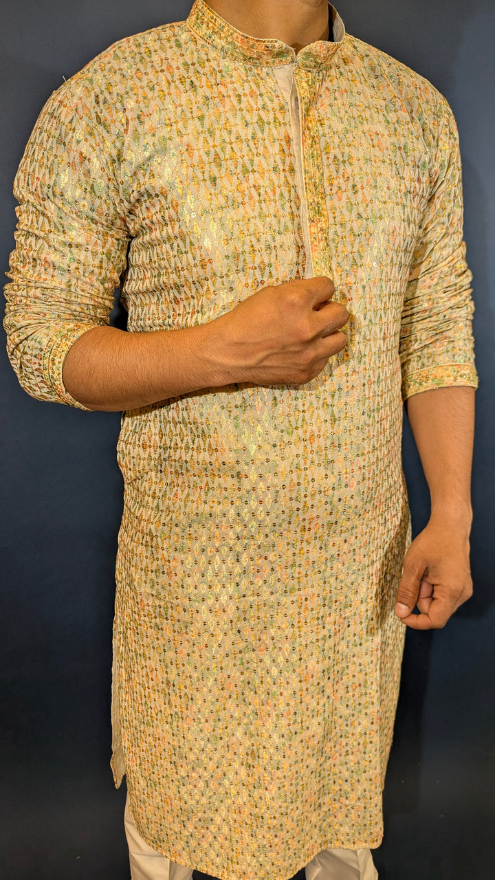 Light Green Chikan Kurta
