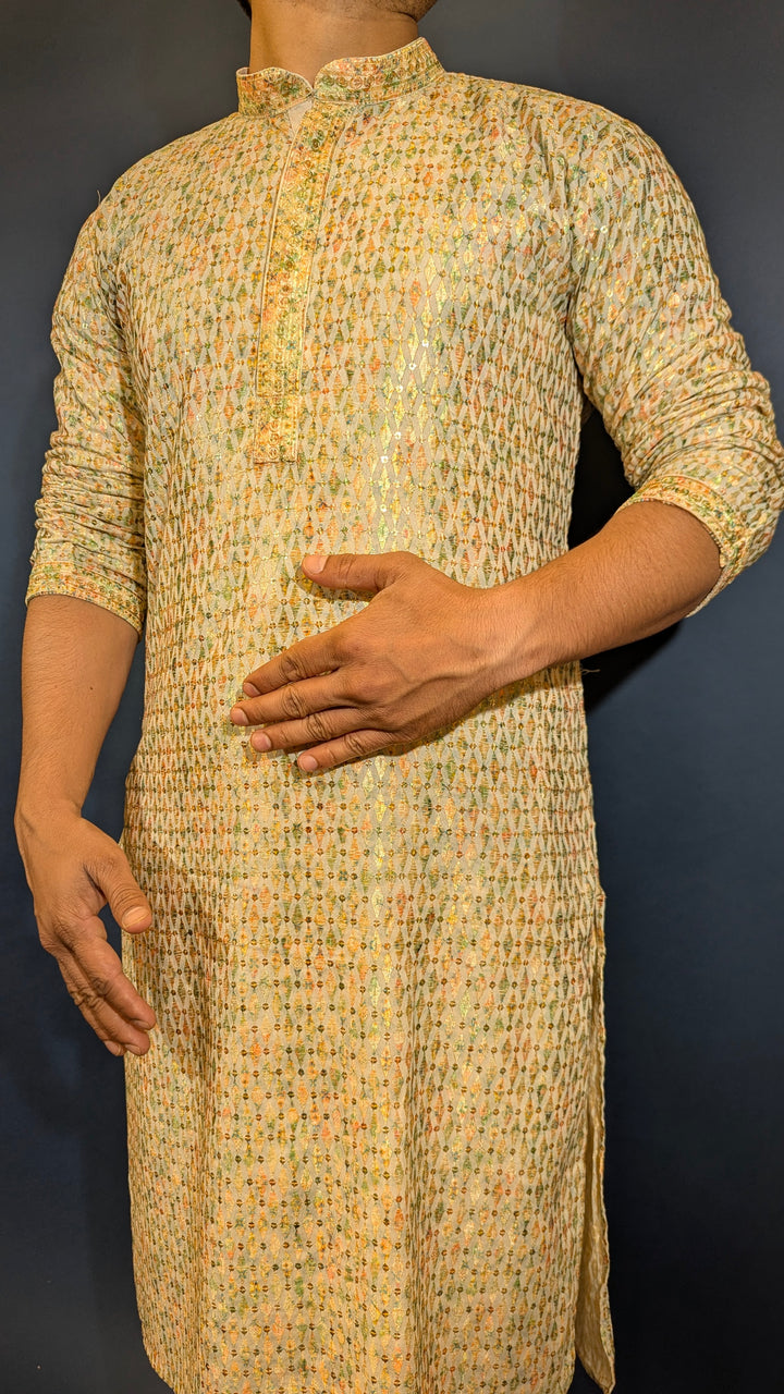 Light Green Chikan Kurta