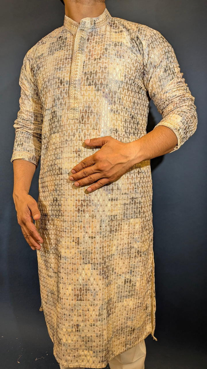 Light Multicolor Chikan Kurta