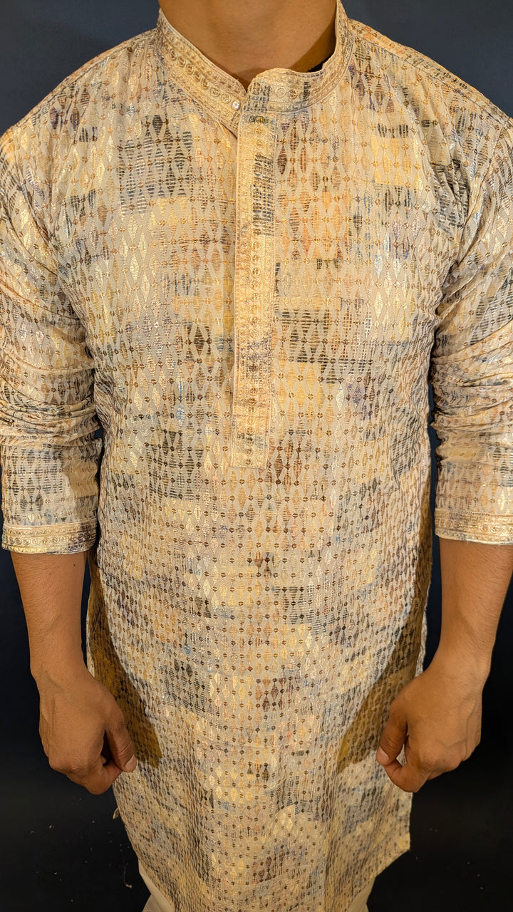 Light Multicolor Chikan Kurta