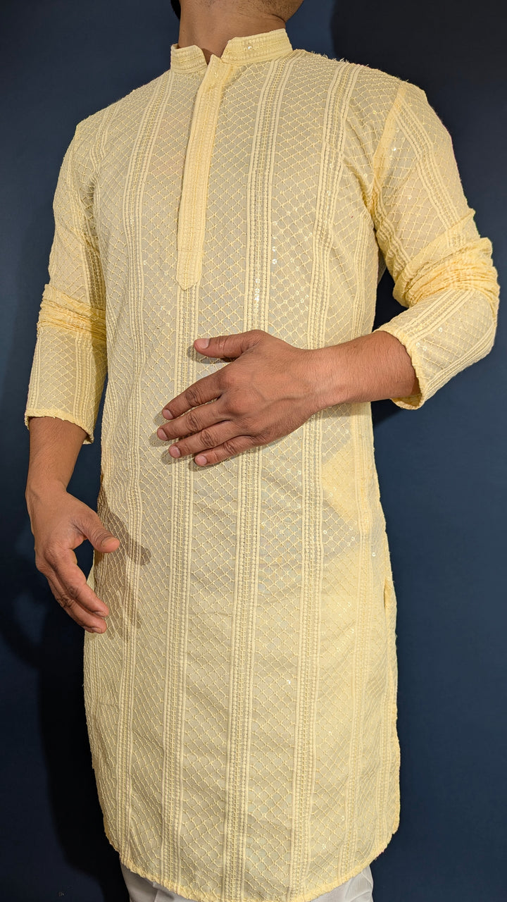 Light Yellow Chikan Kurta