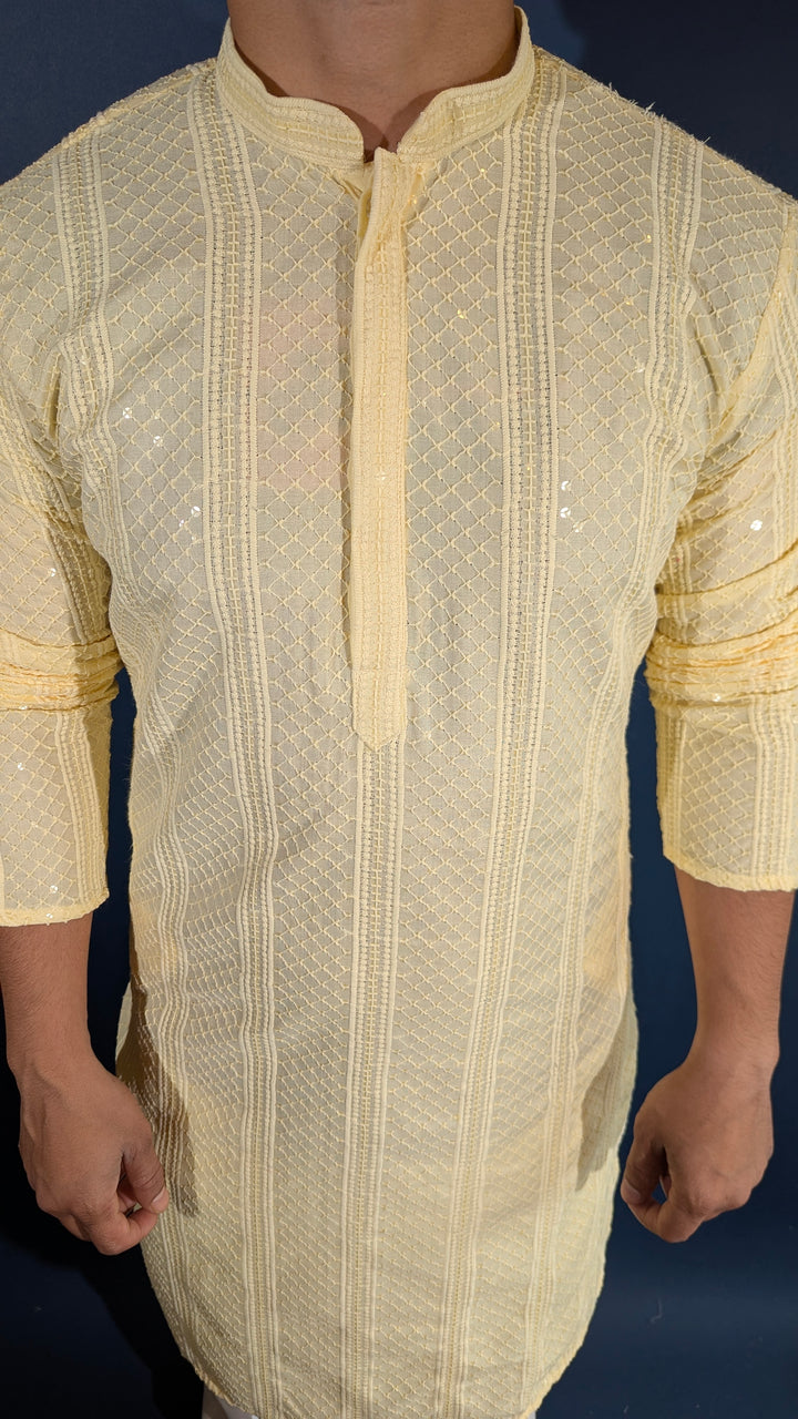 Light Yellow Chikan Kurta