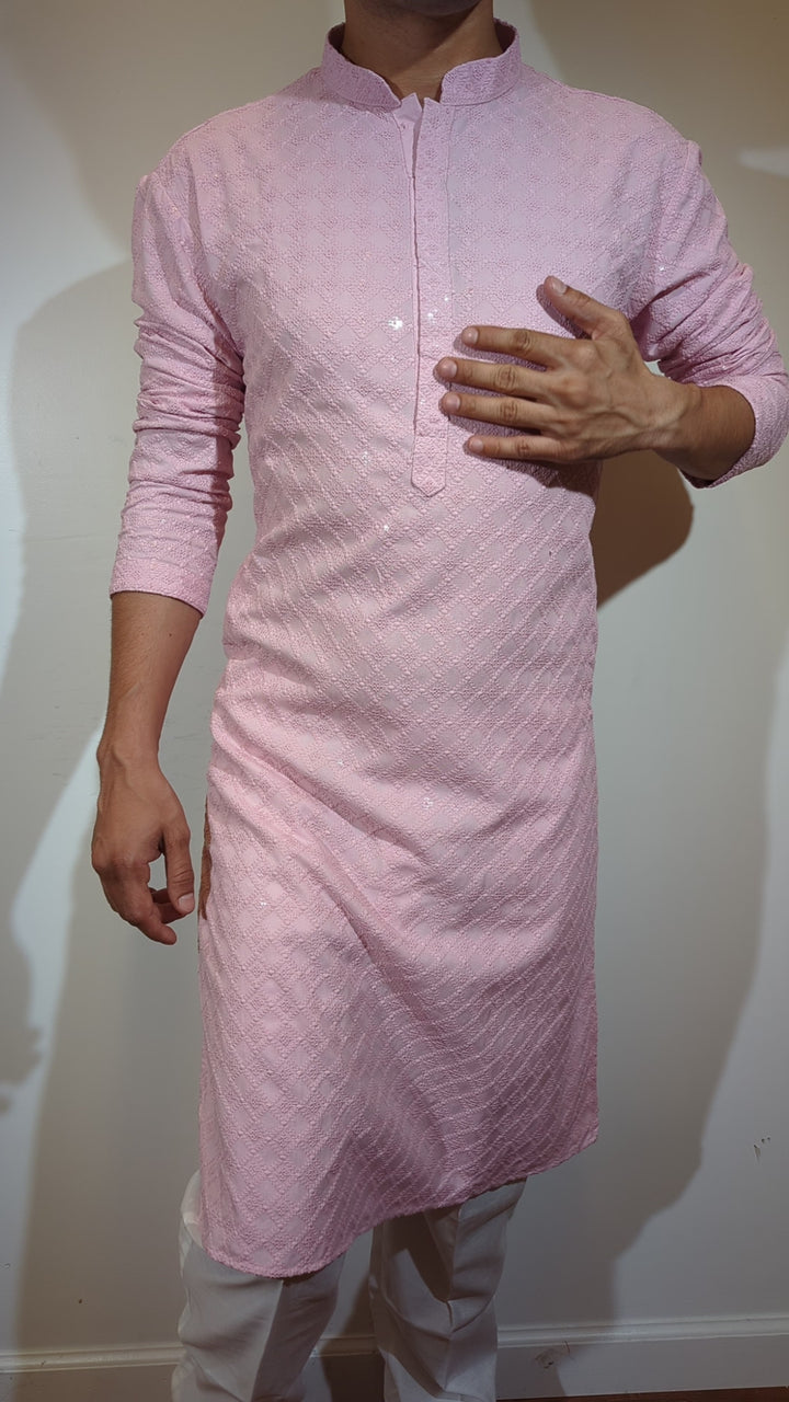 Light Pink Chikan Kurta