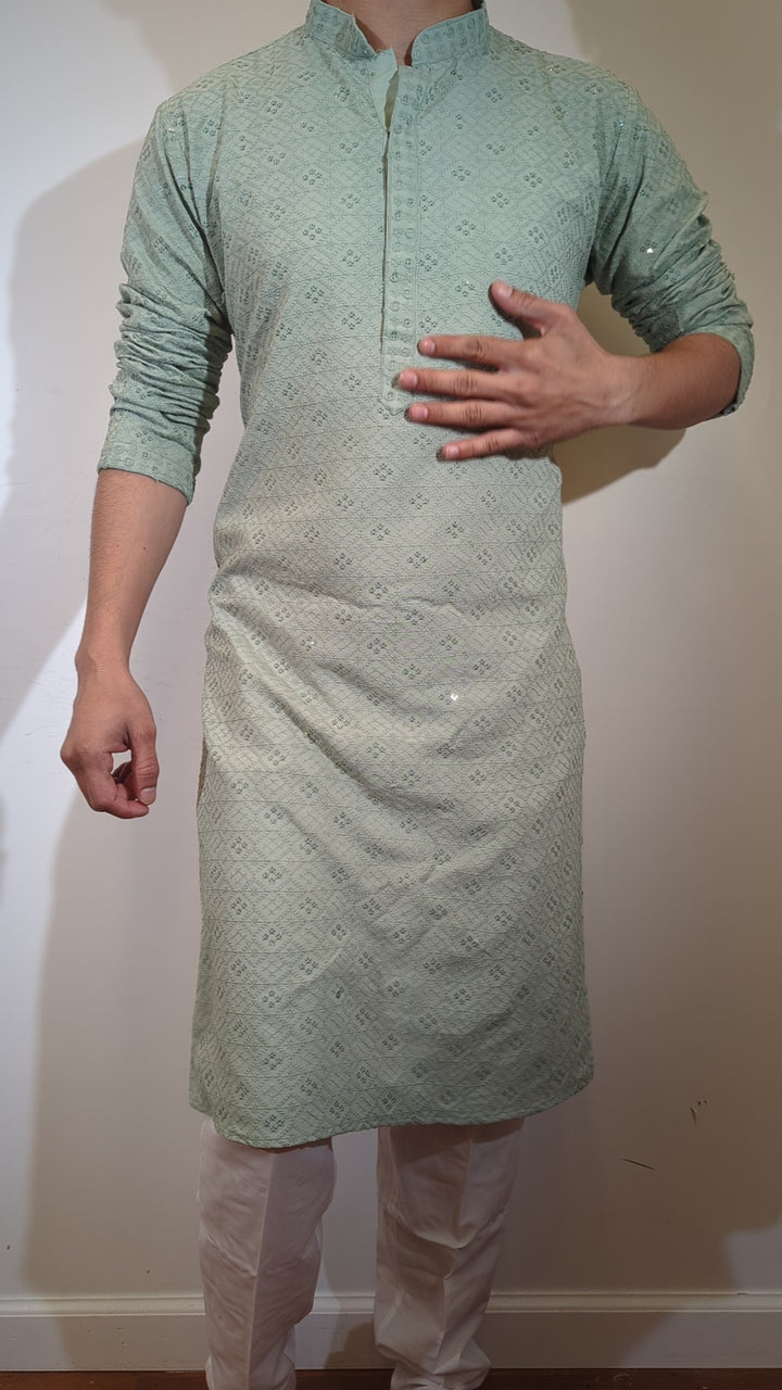 Mint Green Chikan Kurta