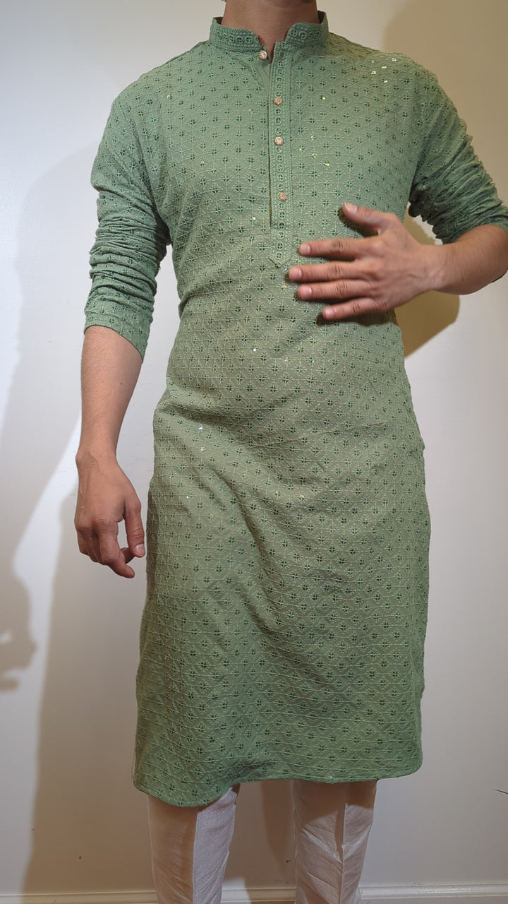 Light Olive Chikan Kurta