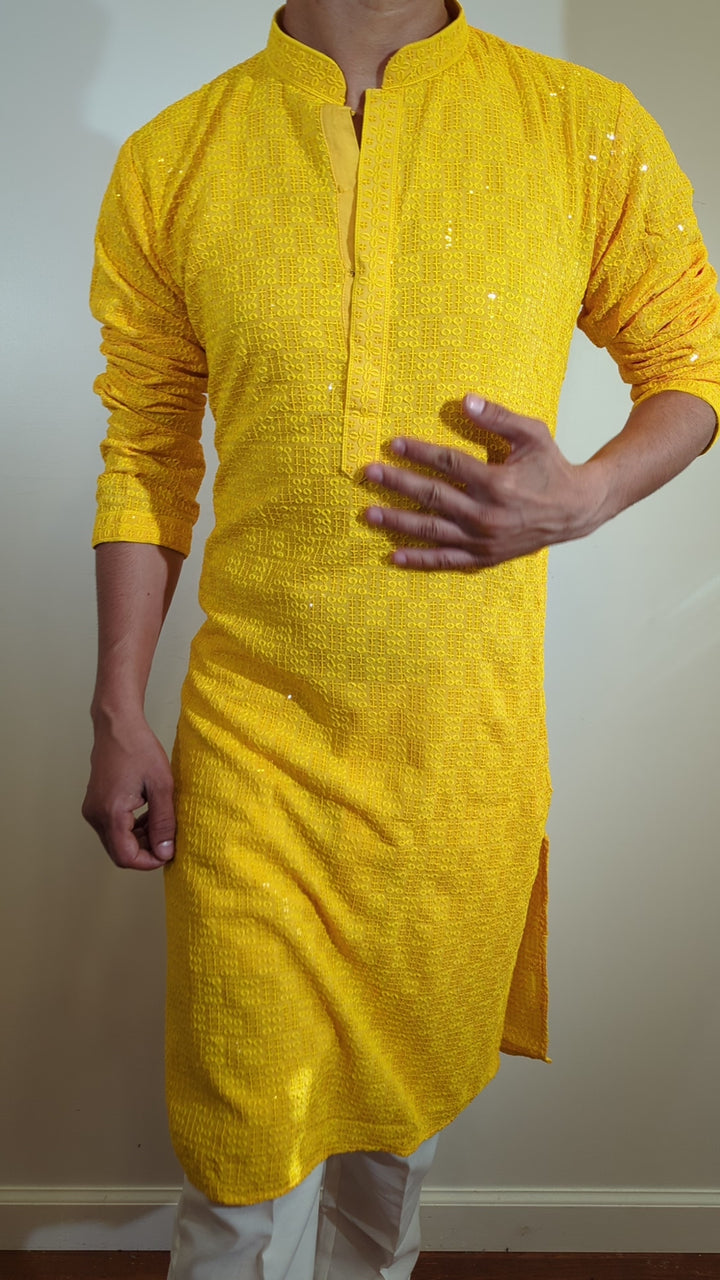 Light Yellow Chikan Kurta