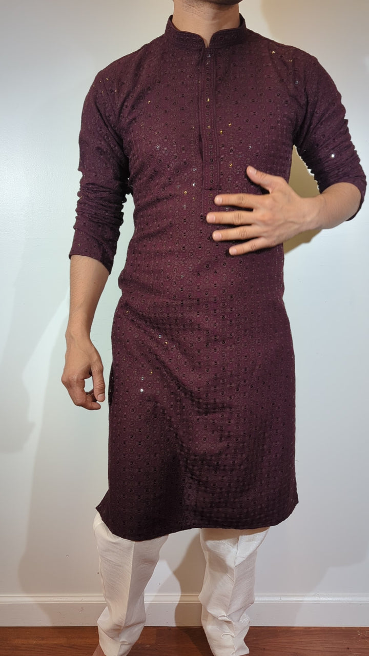 Dark Purple Chikan Kurta