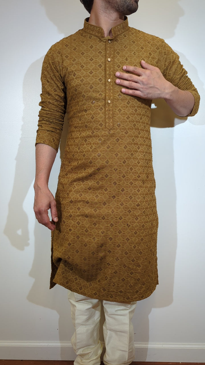 Brown Chikankari Kurta